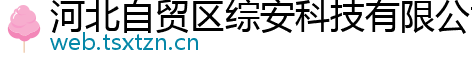 河北自贸区综安科技有限公司